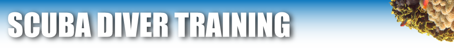 scuba training