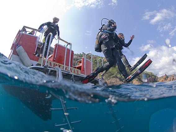 diving from boat